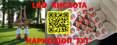 прущие грибы Гусев