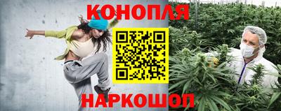 прущие грибы Гусев