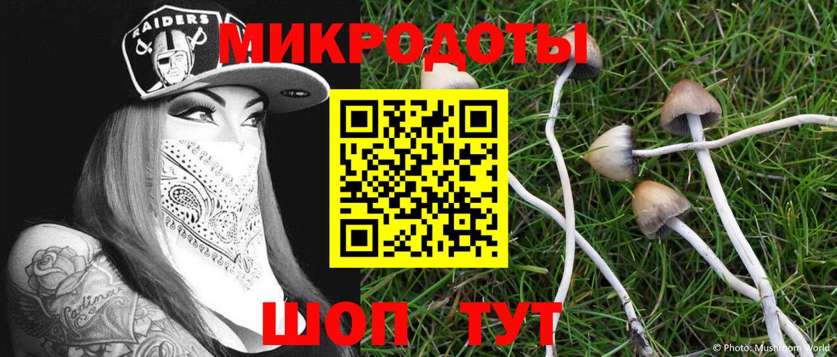 Галлюциногенные грибы Magic Shrooms Казань